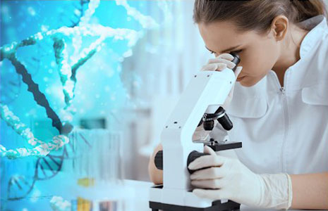 Corneal Articles Corneal Articles